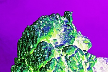 L 029C